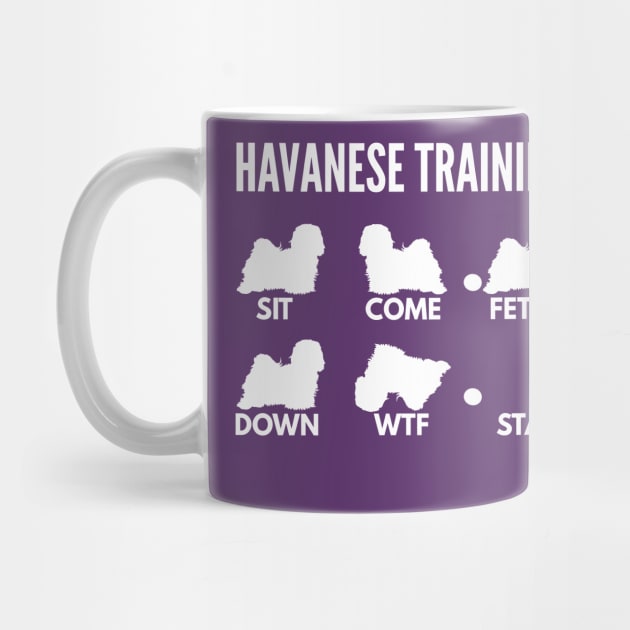 Havanese Training Havanese Dog Tricks by DoggyStyles